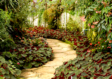 Home projects 02.jpg